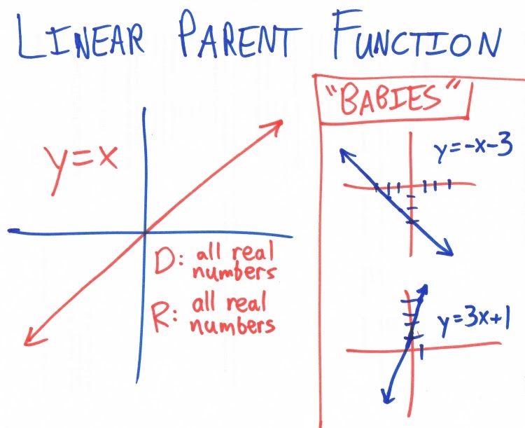 function family examples